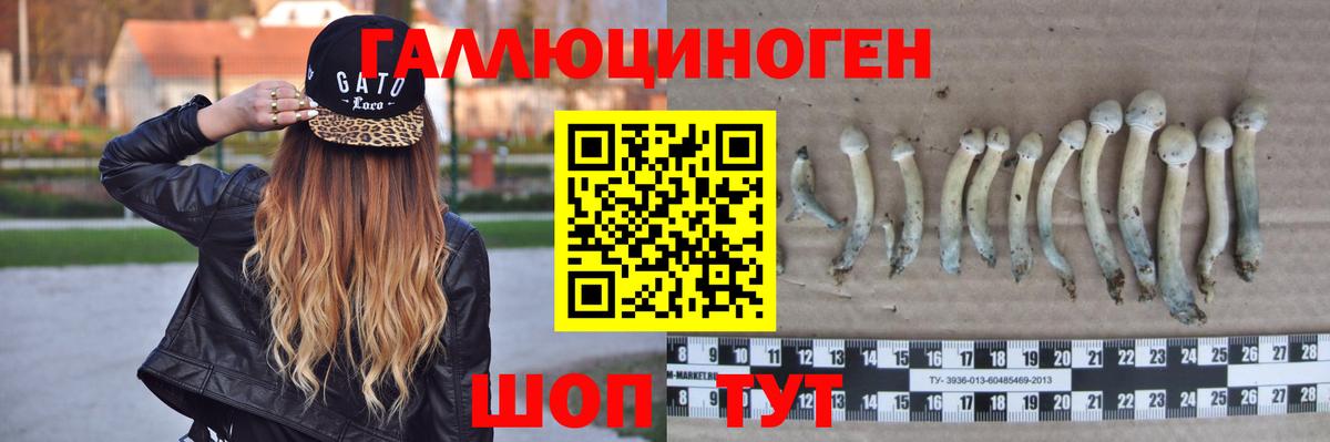 Псилоцибиновые грибы ЛСД  Вход с VPN  наркошоп  Узловая 